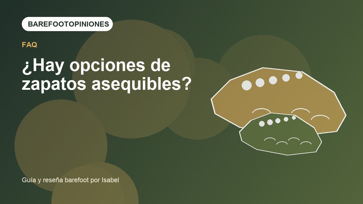 Imagen destacada de ¿Hay opciones de zapatos asequibles?