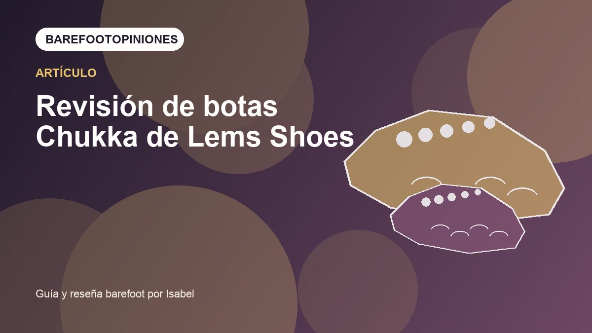 Imagen destacada de Revisión de botas Chukka de Lems Shoes