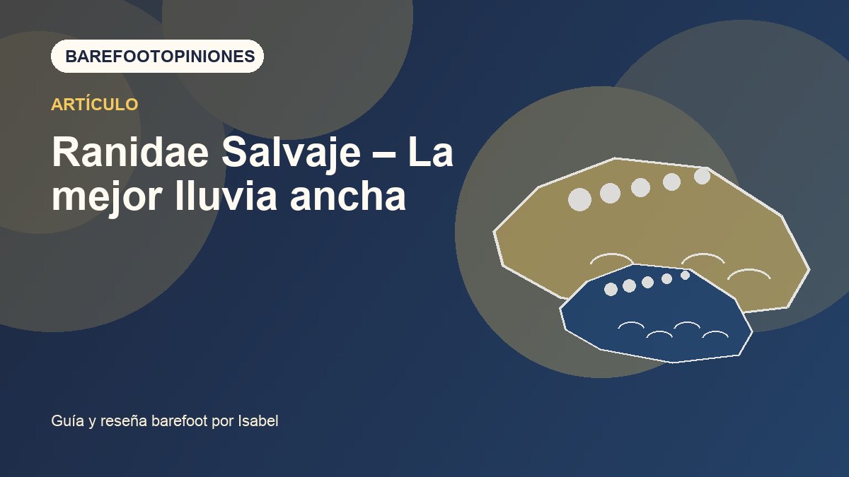 Imagen destacada de Ranidae Salvaje – La mejor lluvia ancha